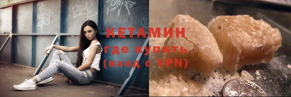 шишки Корсаков