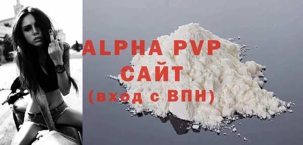 шишки Корсаков