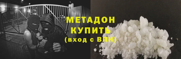 шишки Корсаков