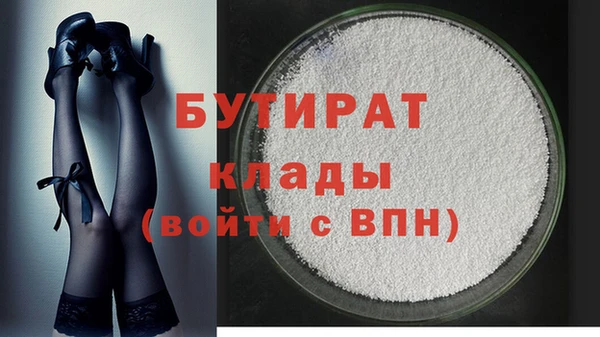шишки Корсаков