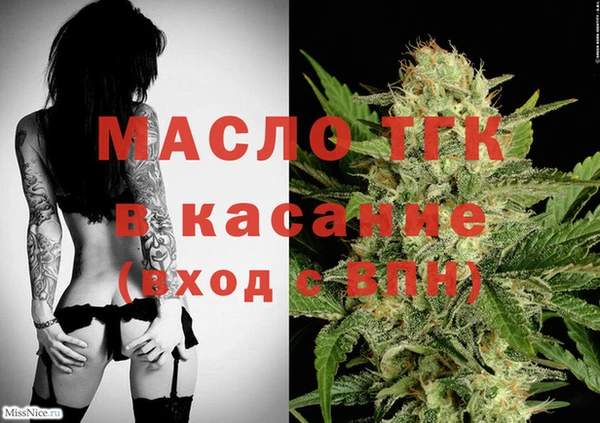 шишки Корсаков
