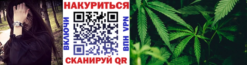 omg tor  Лаишево  Каннабис конопля 